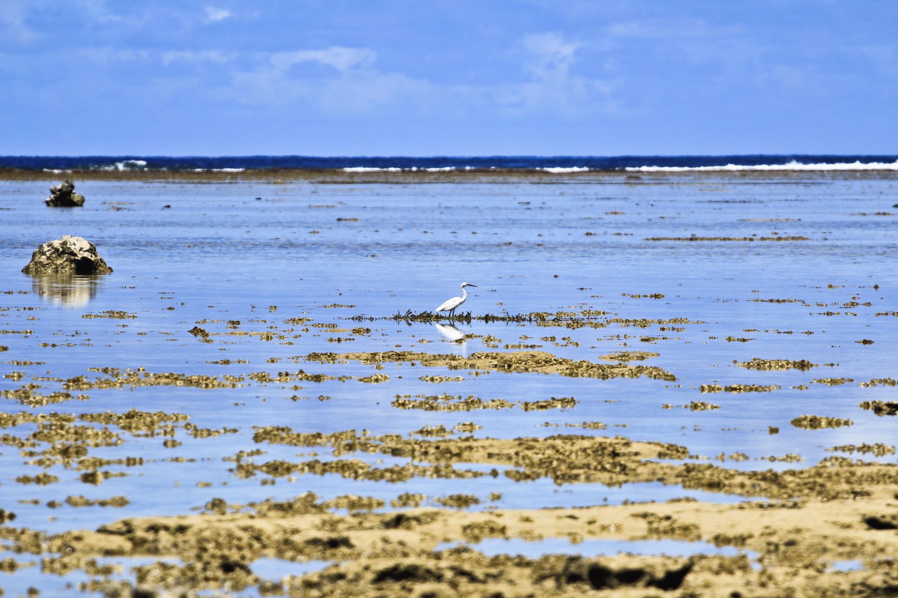Scavenge seashells by the seashore in idyllic Ipan